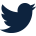 twitter-icon